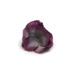 Spinka - PLUM / ASH
