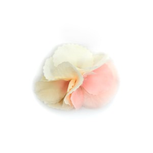 Spinka - VANILLA / PINK