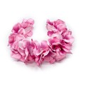 IMG_0577.jpg