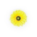 image00048.jpg