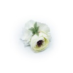 Spinka - WHITE / IVORY