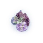 Spinka - PURPLE PALETTE