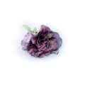 image00029.jpg