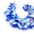 image00009.jpg