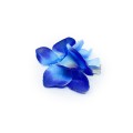 image00001.jpg