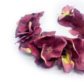 image00040.jpg
