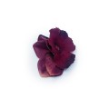 image00033.jpg