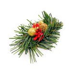 Spinka Christmas - GOLD