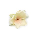 Spinka - CREAM / GREEN